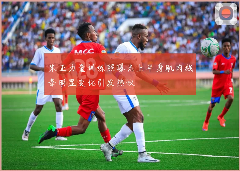 朱正力量训练照曝光上半身肌肉线条明显变化引发热议