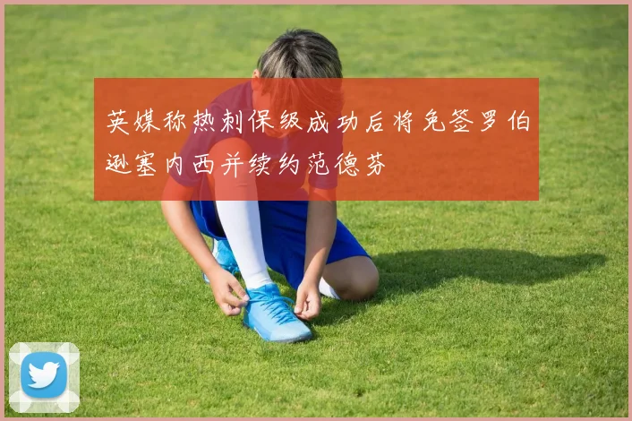 英媒称热刺保级成功后将免签罗伯逊塞内西并续约范德芬